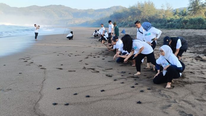 15 Rekomendasi Wisata di Trenggalek saat Libur Lebaran